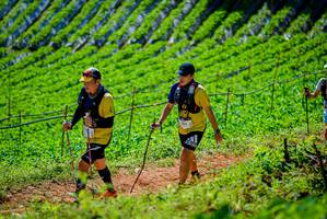 BIB: 650
                            <button type="button" onclick="openModal(19163661)" class="btn btn-primary btn-sm float-right btn-popup" data-toggle="modal" data-target=".modal-high-quality">
                        <i class="fas fa-shopping-cart"></i> Add to Cart
                    </button>
                                            <button type="button" onclick="isThisMe(19163661, true)" class="btn btn-success btn-sm float-right btn-popup btn-isme hidden" data-toggle="tooltip" data-placement="bottom" title="นี่คือรูปของคุณใช่ไหม คลิกที่นี่เพื่อเอาเข้าอัลบั้ม">
                        <i class="fas fa-plus"></i> Add to album
                    </button>
                    <button type="button" onclick="isThisMe(19163661, false)" class="btn btn-warning btn-sm float-right btn-popup btn-isnotme hidden">
                        <i class="fas fa-ban"></i> Remove from album
                    </button>